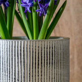 Photo of Campania Pleated Planter - Dusty White - Set of 8 - Marquis Gardens